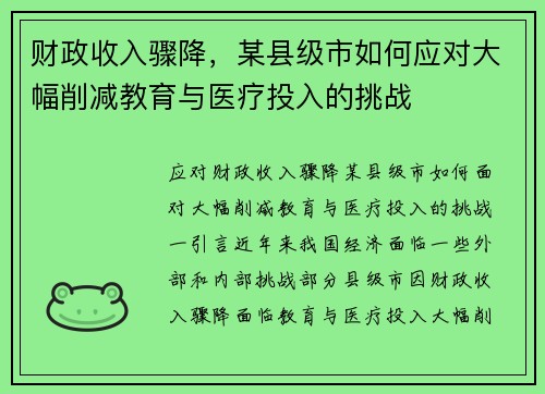 财政收入骤降，某县级市如何应对大幅削减教育与医疗投入的挑战