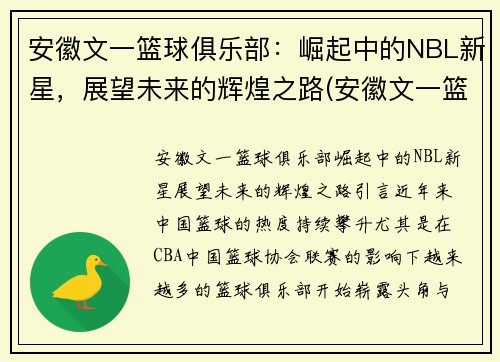 安徽文一篮球俱乐部：崛起中的NBL新星，展望未来的辉煌之路(安徽文一篮球训练基地)